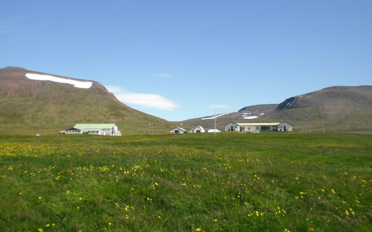 Steinnyjarstathir Skagastrond Exteriér fotografie