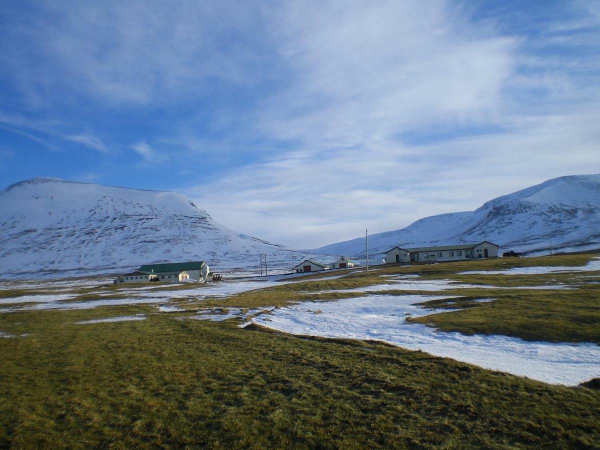 Steinnyjarstathir Skagastrond Exteriér fotografie
