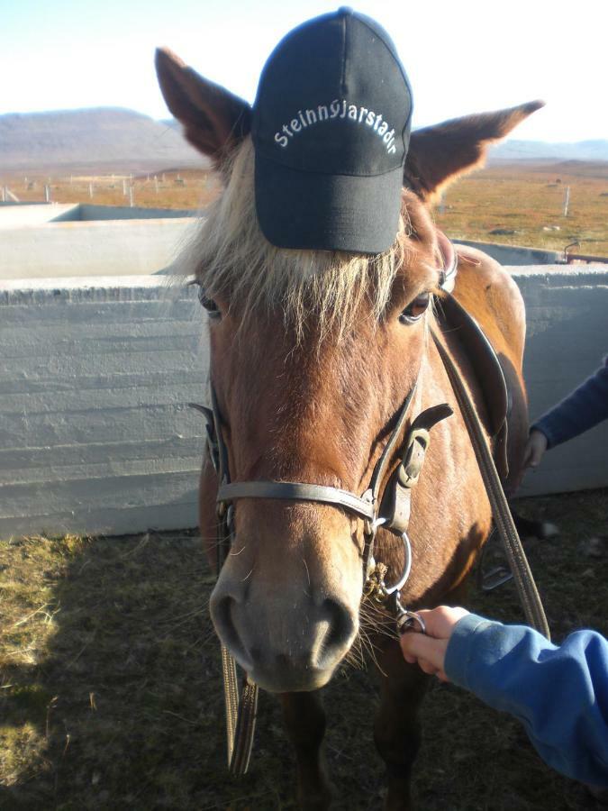 Steinnyjarstathir Skagastrond Exteriér fotografie